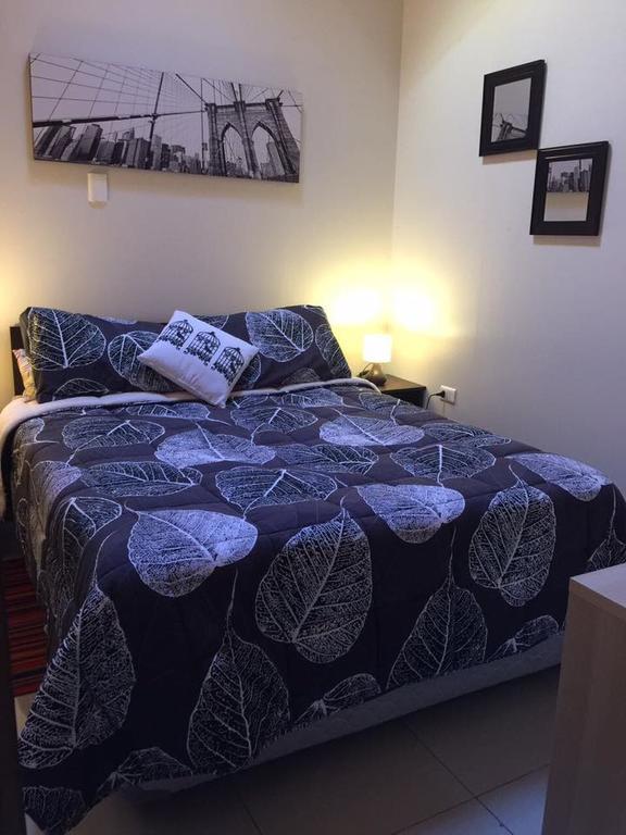 Hostal Los Carrera Concepción Esterno foto